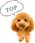 TOPへ
